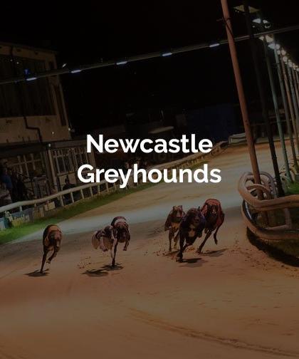 Newcastle Greyhounds